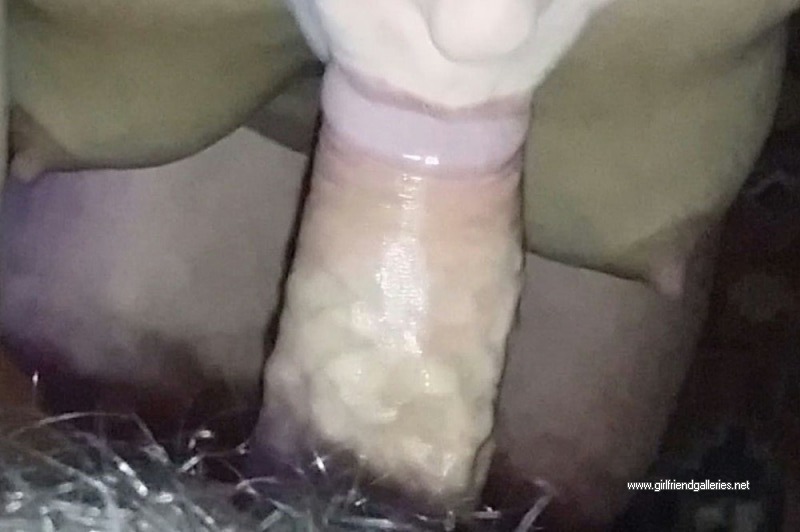 sex pussy 