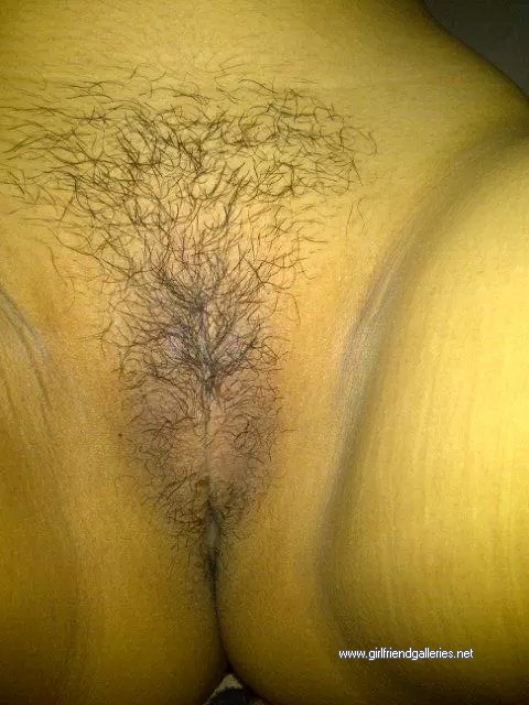 Hairy pussy