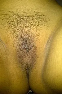 Hairy pussy