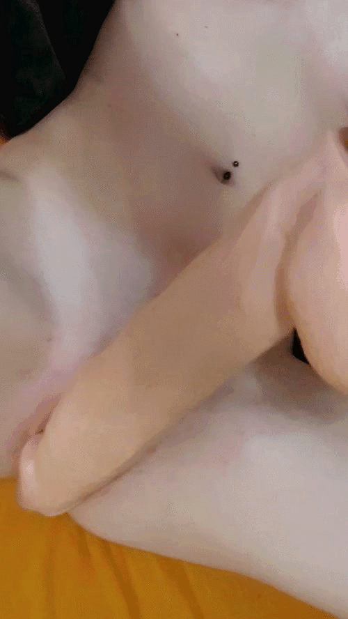 My pounded pussy
