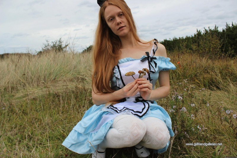 Alice finds psilocybe azurescens