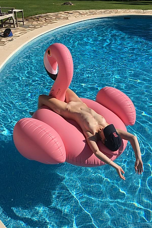 Pelican