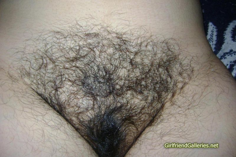 mi hairy wife 11
