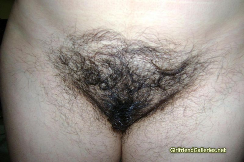mi hairy wife 11
