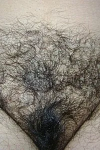 mi hairy wife 11
