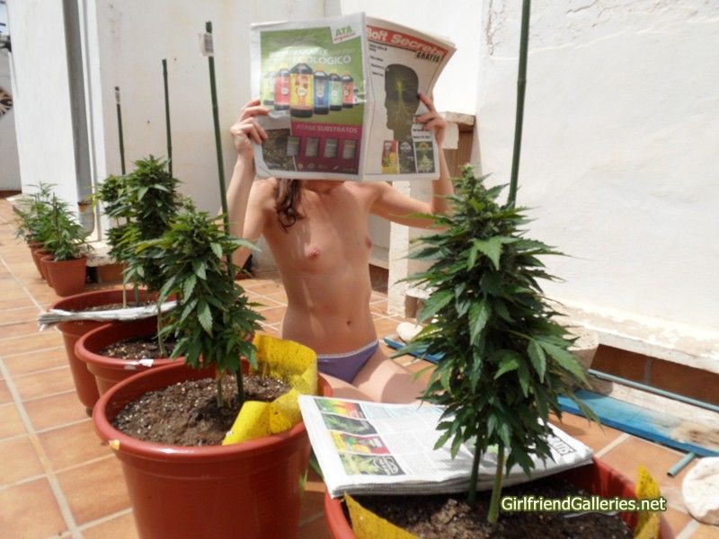planting the seeds