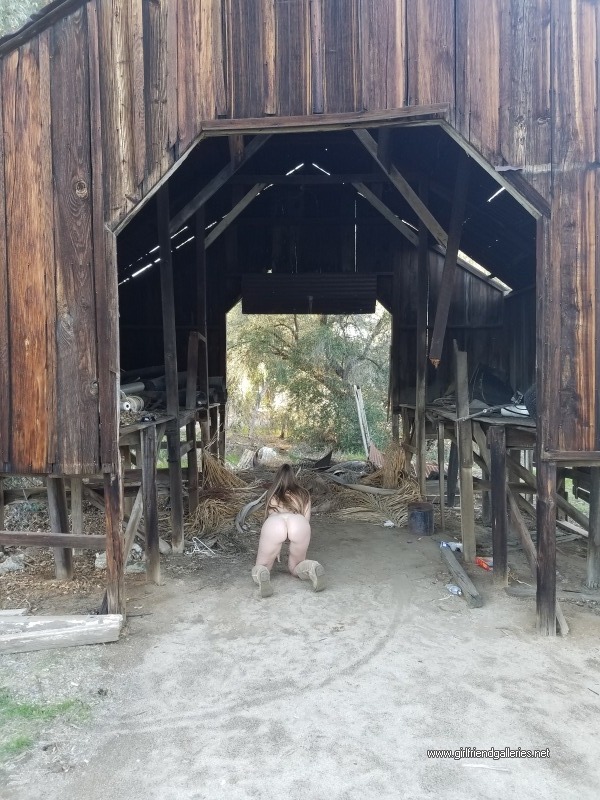 Vintage barn